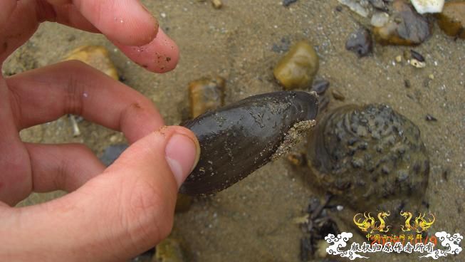 随拍，记录垃圾赣江