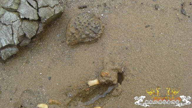 随拍，记录垃圾赣江