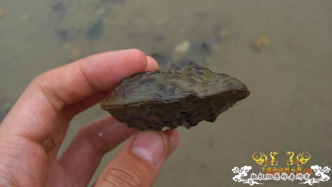 随拍，记录垃圾赣江