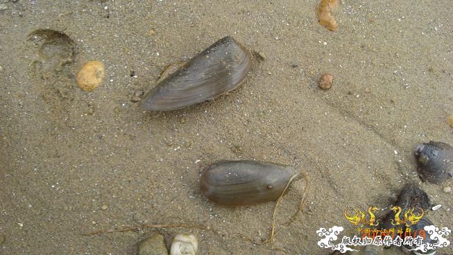 随拍，记录垃圾赣江