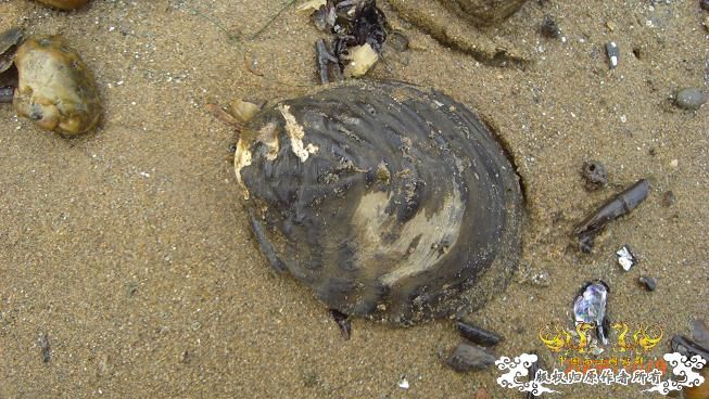 随拍，记录垃圾赣江