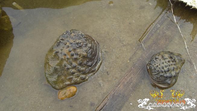 随拍，记录垃圾赣江