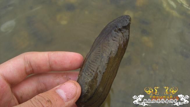 随拍，记录垃圾赣江