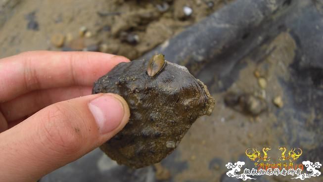 随拍，记录垃圾赣江