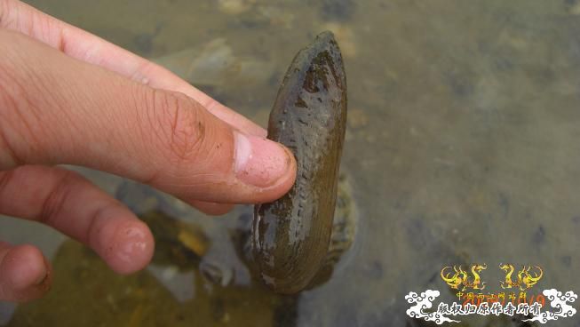 随拍，记录垃圾赣江