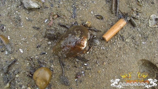 随拍，记录垃圾赣江