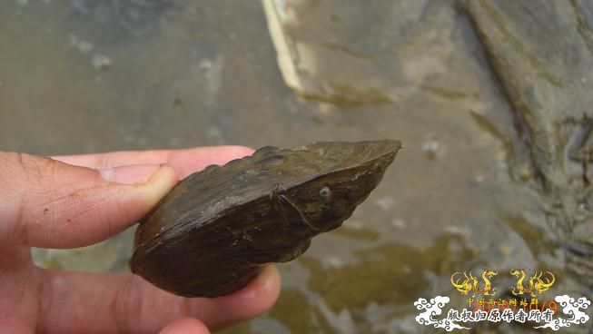 随拍，记录垃圾赣江