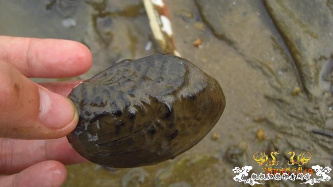 随拍，记录垃圾赣江