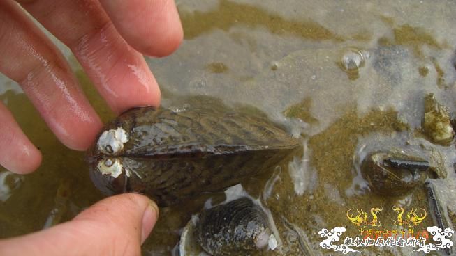 随拍，记录垃圾赣江