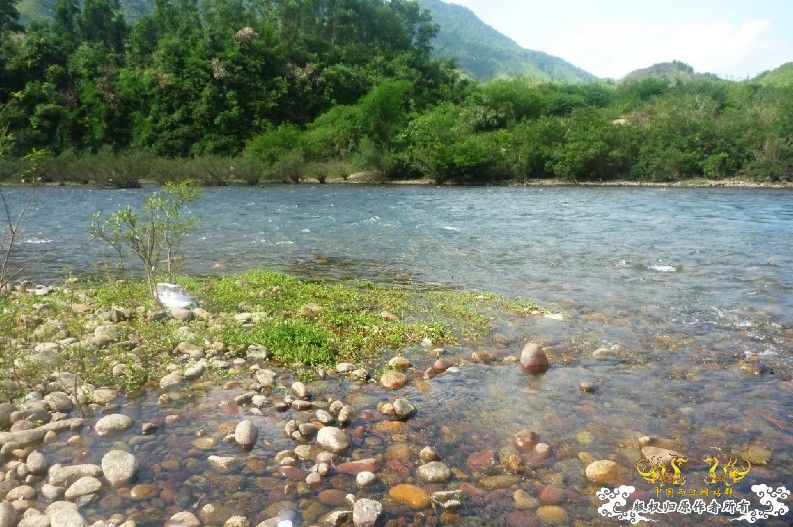 断楼党集结啦！！