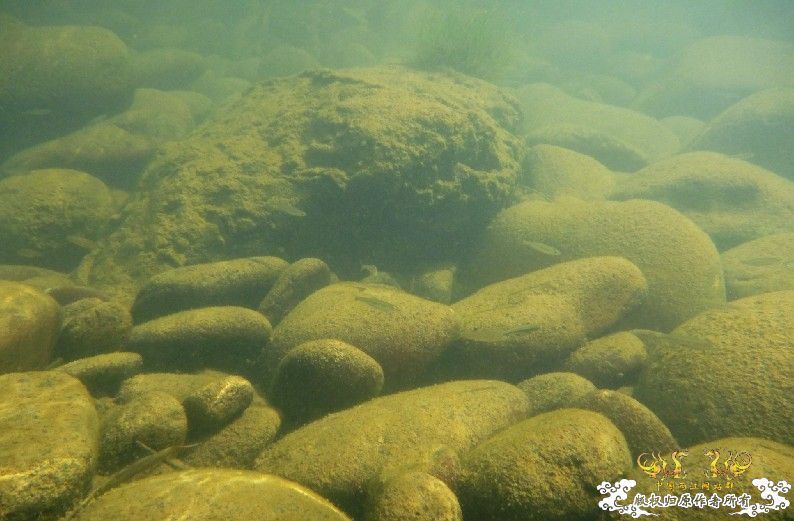 断楼党集结啦！！