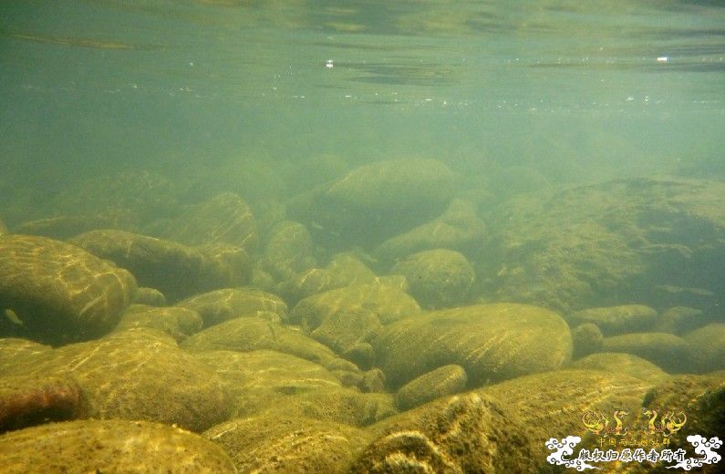 断楼党集结啦！！