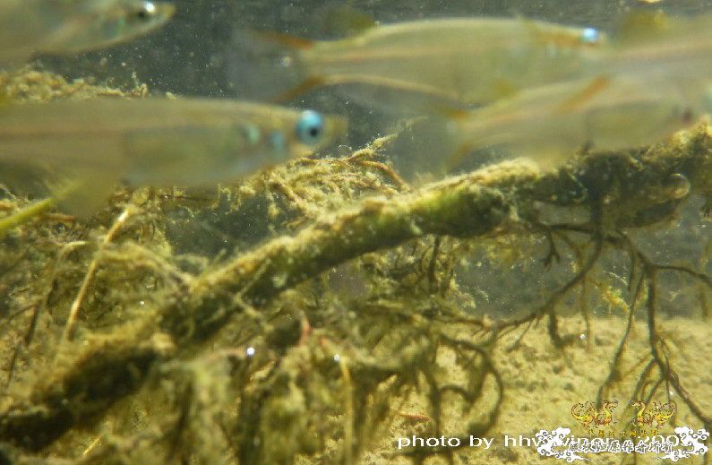 断楼党集结啦！！