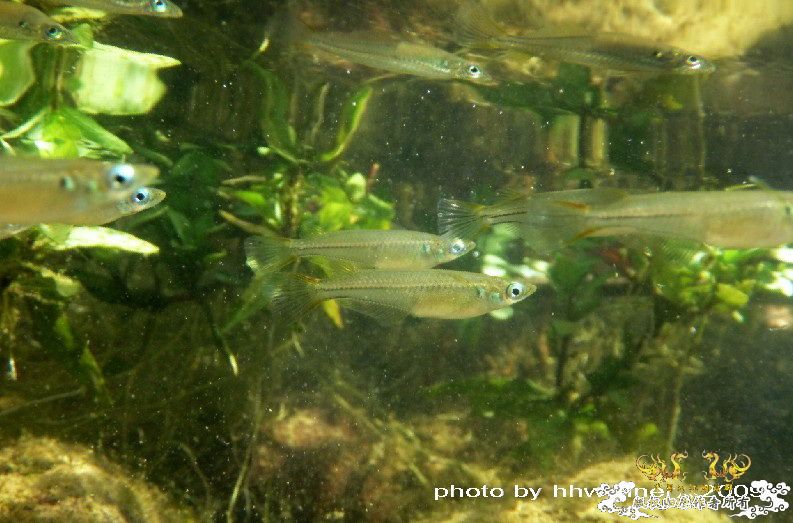 断楼党集结啦！！