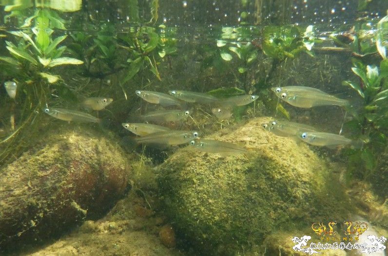 断楼党集结啦！！