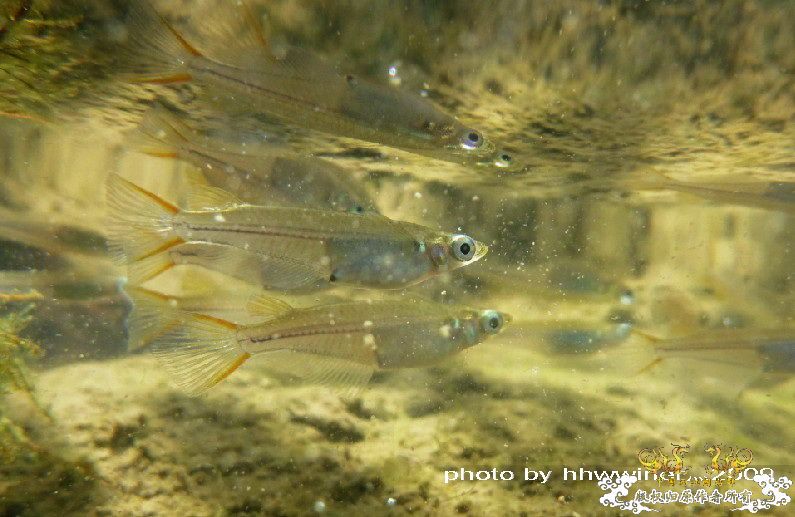 断楼党集结啦！！