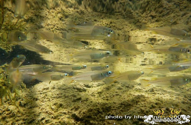 断楼党集结啦！！