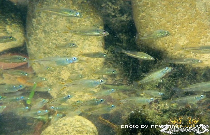 断楼党集结啦！！