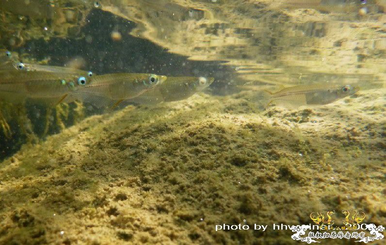 断楼党集结啦！！