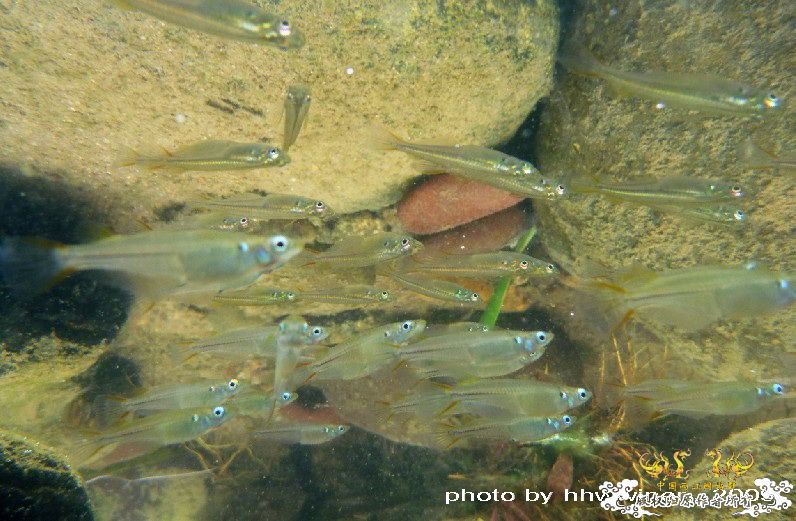 断楼党集结啦！！