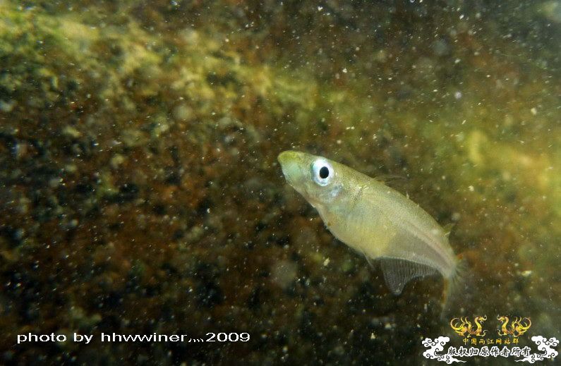 断楼党集结啦！！