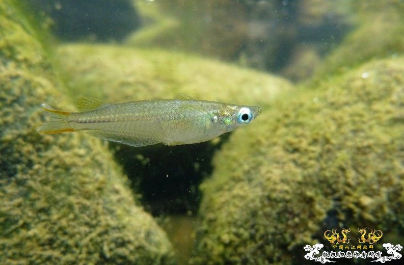 断楼党集结啦！！