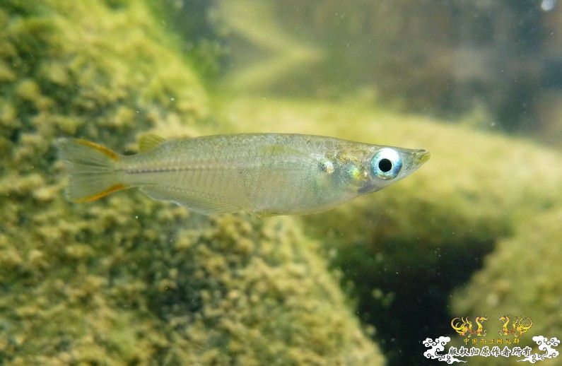 断楼党集结啦！！