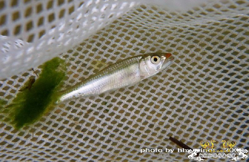 断楼党集结啦！！