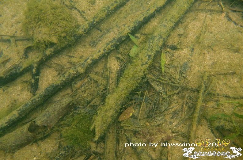 断楼党集结啦！！