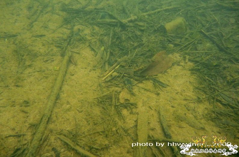 断楼党集结啦！！