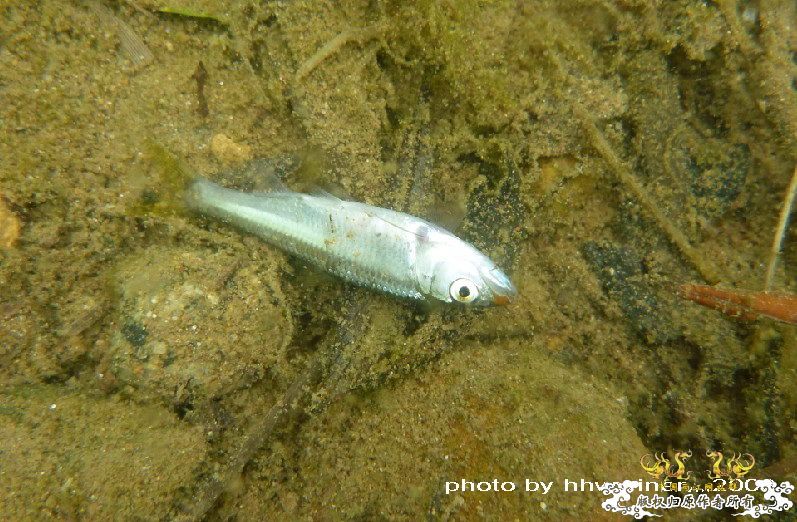 断楼党集结啦！！