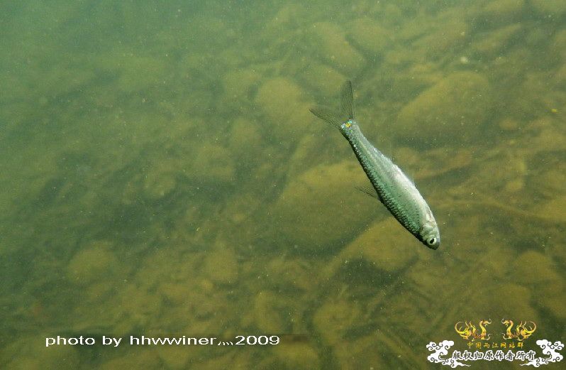 断楼党集结啦！！