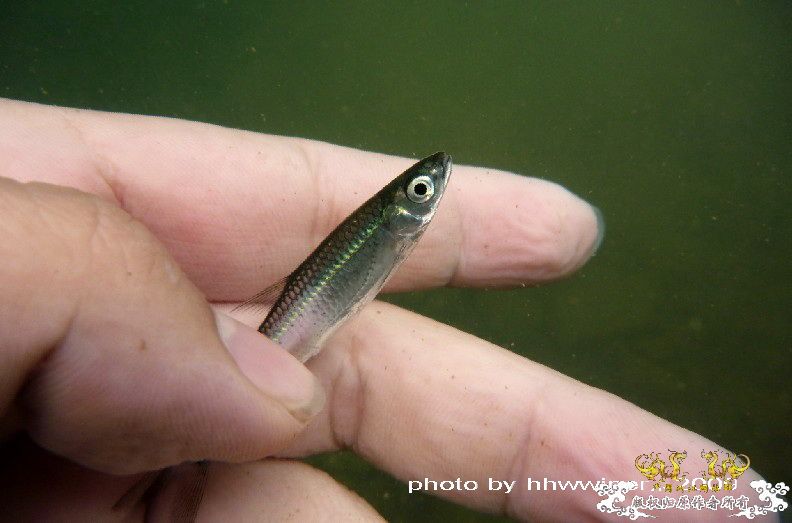 断楼党集结啦！！