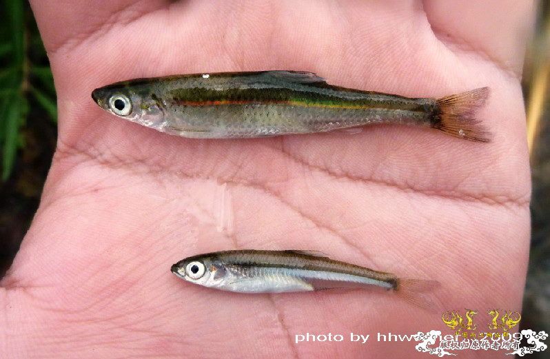 断楼党集结啦！！