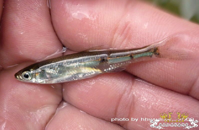 断楼党集结啦！！