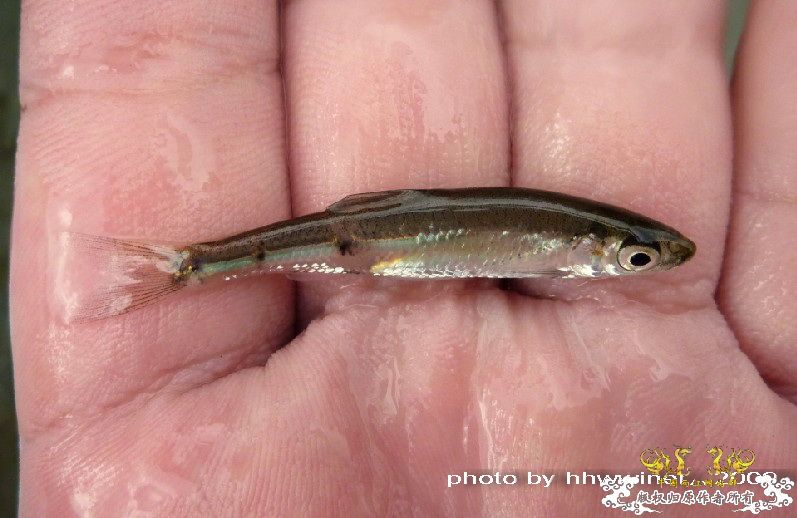 断楼党集结啦！！