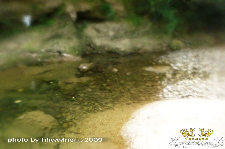 断楼党集结啦！！