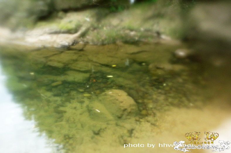 断楼党集结啦！！