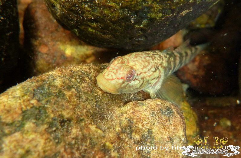 断楼党集结啦！！