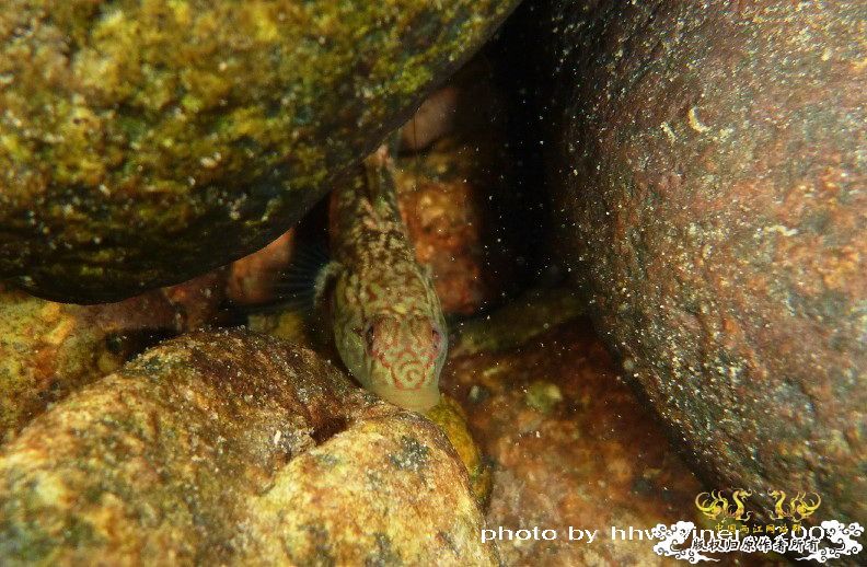 断楼党集结啦！！