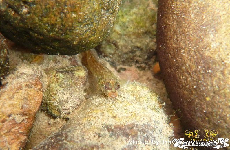 断楼党集结啦！！