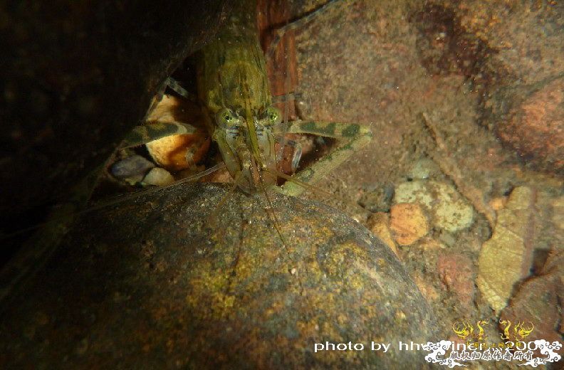 断楼党集结啦！！