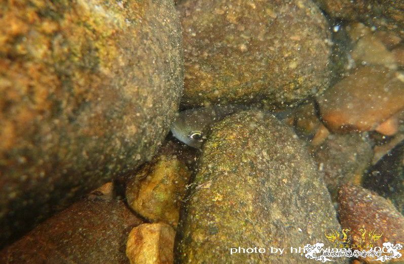 断楼党集结啦！！