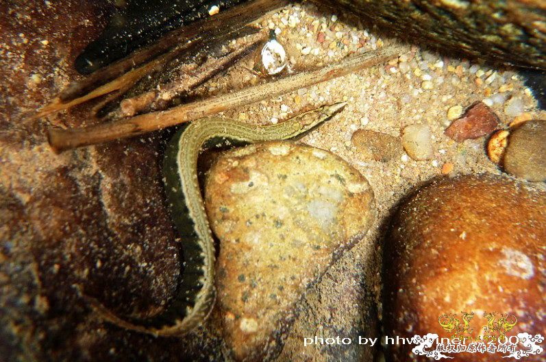 断楼党集结啦！！