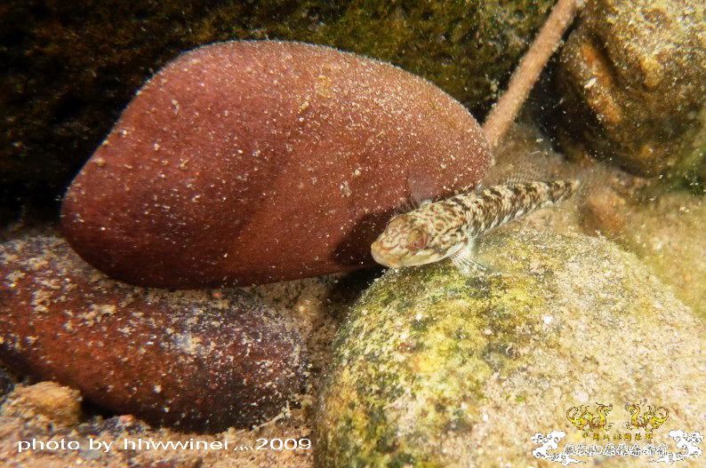 断楼党集结啦！！