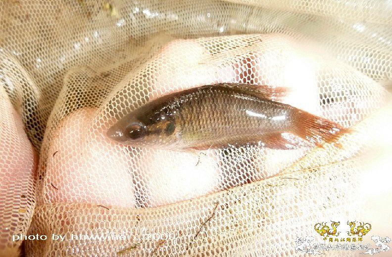 断楼党集结啦！！