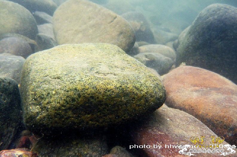 断楼党集结啦！！