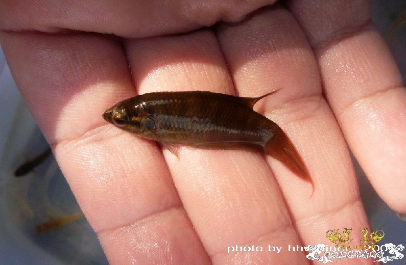 断楼党集结啦！！