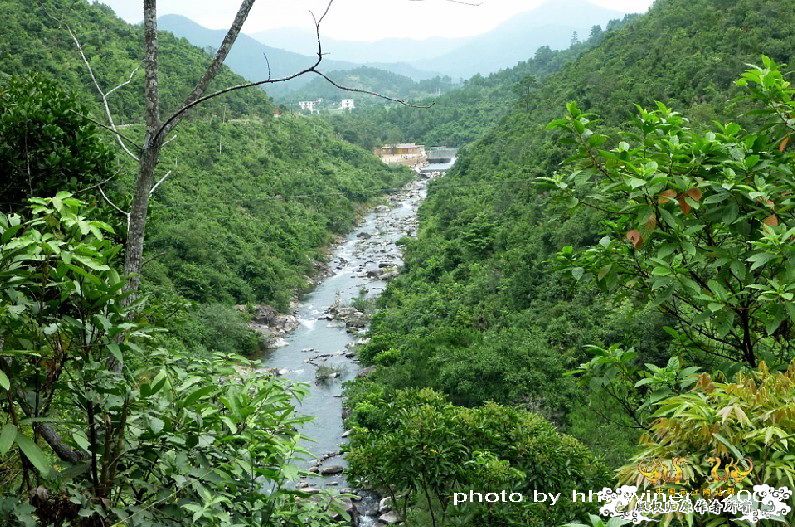 断楼党集结啦！！