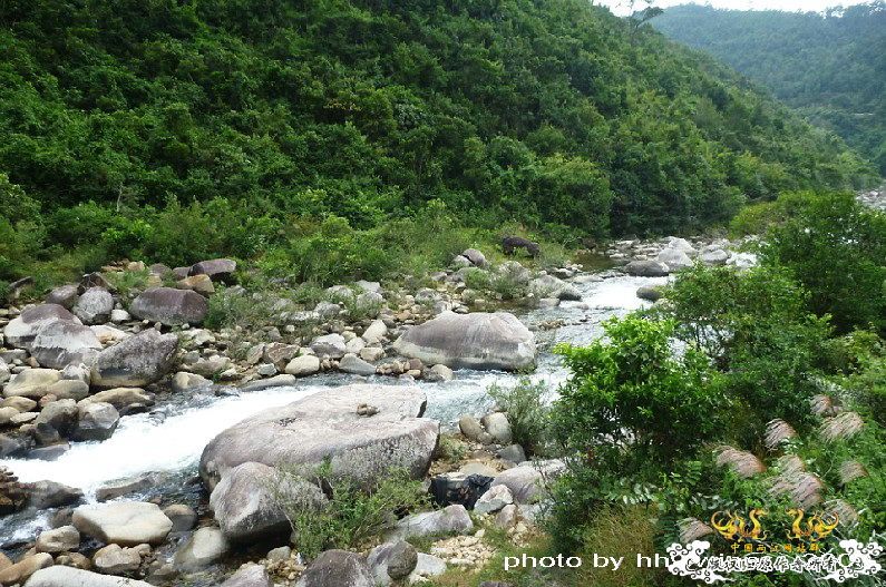 断楼党集结啦！！